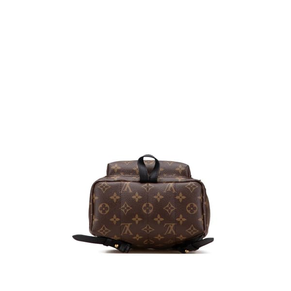 Pre-owned Louis Vuitton Monogram Palm Springs PM Brown