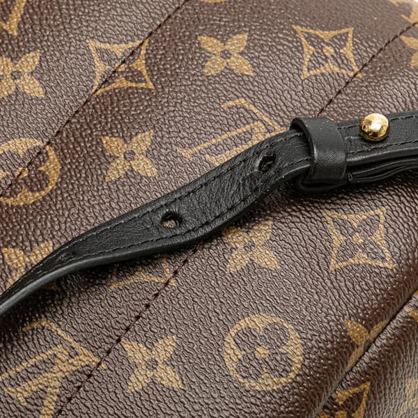 Pre-owned Louis Vuitton Monogram Palm Springs PM Brown