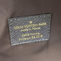 Pikkukuva 6 / 10: Pre-owned Louis Vuitton Monogram Outdoor Apollo Backpack Brown