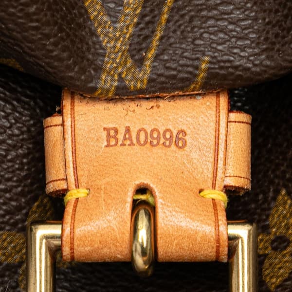 Pre-owned Louis Vuitton Monogram Montsouris GM Brown