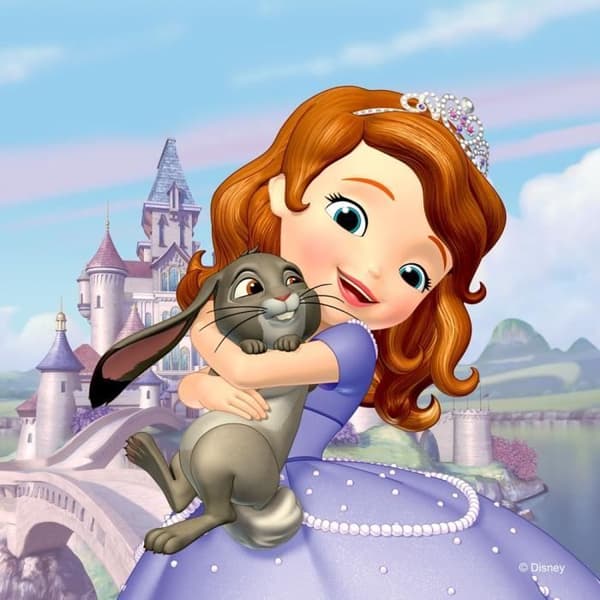 Kudde - Disney Princess Sofia 40 cm x 40 m Flerfärgad