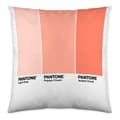Miniatyrbild 2 av 2: kuddfodral ombre b pantone lokalisering-b086jqb7qd vändbar (50 x 50 cm)