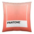 Miniatyrbild 1 av 2: kuddfodral ombre b pantone lokalisering-b086jqb7qd vändbar (50 x 50 cm)