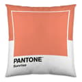 Miniatyrbild 2 av 2: kuddfodral bred c pantone lokalisering-b086jpw2vb vändbar (50 x 50 cm)