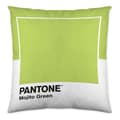 Miniatyrbild 2 av 2: kuddfodral bred pantone lokalisering-b086jpn8my (50 x 50 cm)