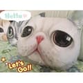 Miniatyrbild 3 av 4: TD® Rolig 3D Cat Print Kudde Kudde Kreativ Söt Fylld Docka Present Heminredning 13698