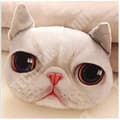 Miniatyrbild 2 av 4: TD® Rolig 3D Cat Print Kudde Kudde Kreativ Söt Fylld Docka Present Heminredning 13698