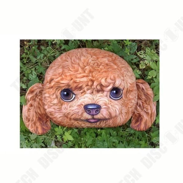 TD® Wang Xingren Soffkudde Meow Xingren Cushion Bilkudde Fabriksuttag
