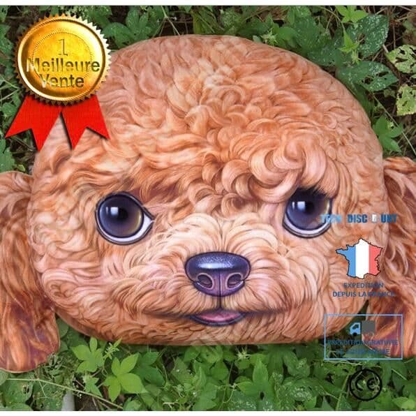 TD® Wang Xingren Soffkudde Meow Xingren Cushion Bilkudde Fabriksuttag