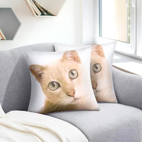 Set med 2 Kuddöverdrag 40x40 cm Motiv Katt