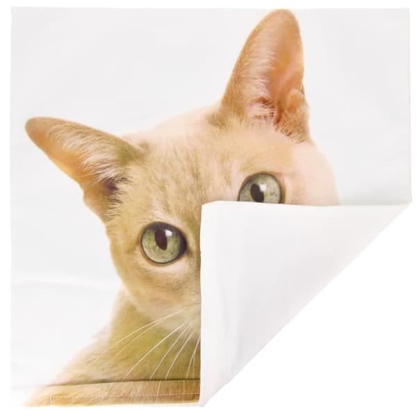 Set med 2 Kuddöverdrag 40x40 cm Motiv Katt