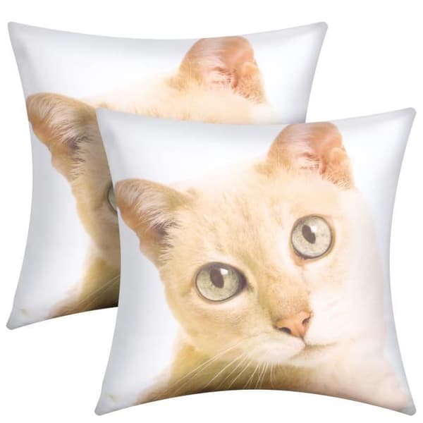Set med 2 Kuddöverdrag 40x40 cm Motiv Katt