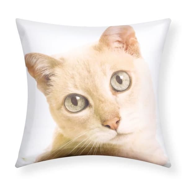Set med 2 Kuddöverdrag 40x40 cm Motiv Katt