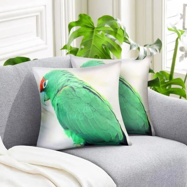 Paket med 2 Kuddeöverdrag 40x40 cm Mönster Ara Grön