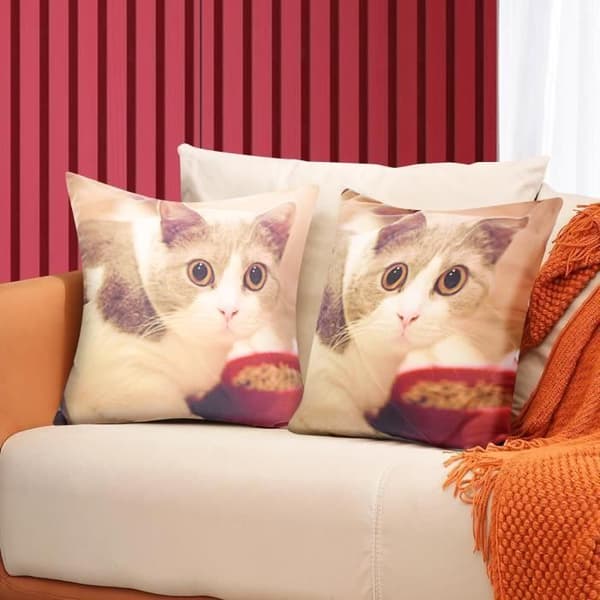 Set med 2 Kuddöverdrag 40x40 cm Hämta Kattmotiv