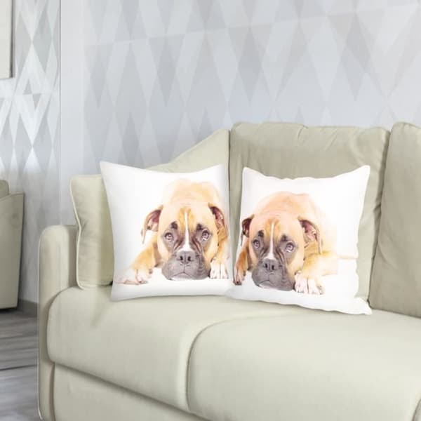 Set om 2 Kuddöverdrag 40x40 cm Boxer Hund Mönster
