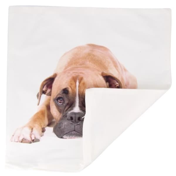 Set om 2 Kuddöverdrag 40x40 cm Boxer Hund Mönster