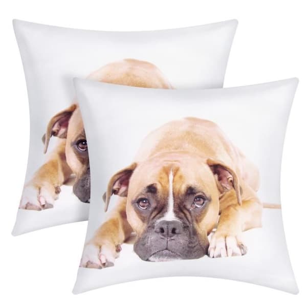 Set om 2 Kuddöverdrag 40x40 cm Boxer Hund Mönster