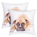 Miniatyrbild 2 av 4: Set om 2 Kuddöverdrag 40x40 cm Boxer Hund Mönster