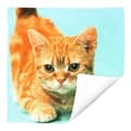 Miniatyrbild 4 av 4: Set med 2 Kuddöverdrag 40x40 cm Mönster Katt Gul