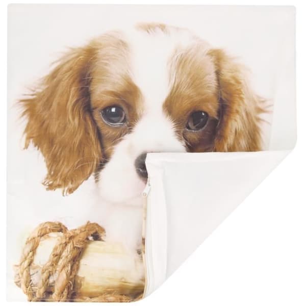 2-pack Kuddöverdrag 40x40 cm King Charles Hundmönster