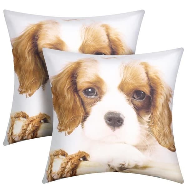 2-pack Kuddöverdrag 40x40 cm King Charles Hundmönster