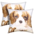 Miniatyrbild 2 av 4: 2-pack Kuddöverdrag 40x40 cm King Charles Hundmönster