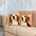 Miniatyrbild 3 av 4: Set med 2 Kuddöverdrag 40x40 cm Mönster Beagle Hund Brun