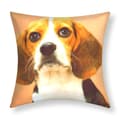 Miniatyrbild 1 av 4: Set med 2 Kuddöverdrag 40x40 cm Mönster Beagle Hund Brun