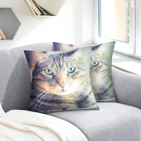 Set med 2 Kuddöverdrag 40x40 cm Motiv Katt Shorthair