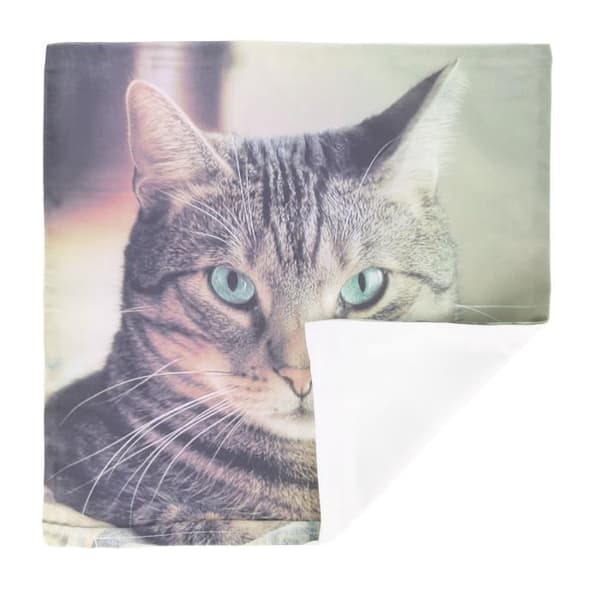Set med 2 Kuddöverdrag 40x40 cm Motiv Katt Shorthair