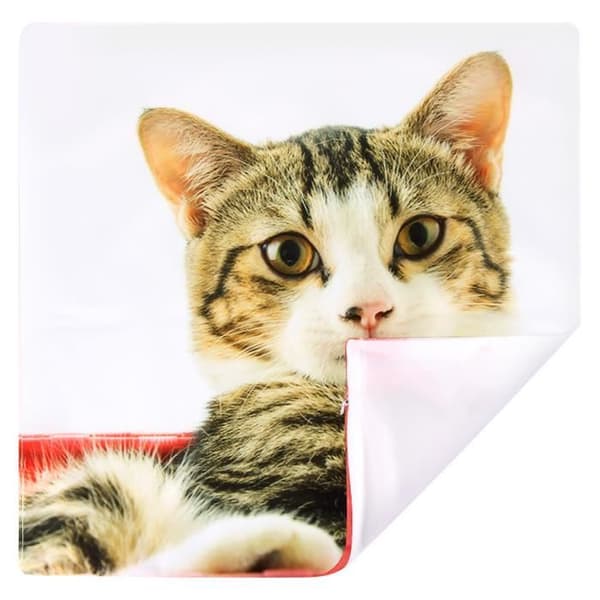 Set av 2 Kuddöverdrag 40x40 cm Mönster Katt Korg Rosa