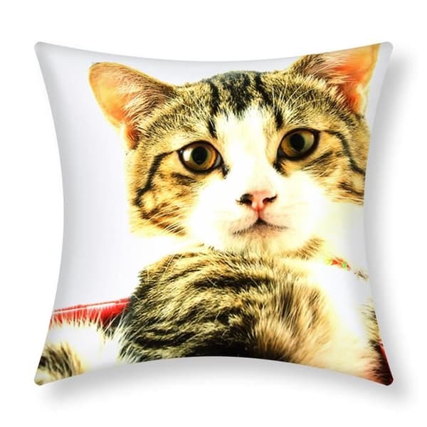 Set av 2 Kuddöverdrag 40x40 cm Mönster Katt Korg Rosa