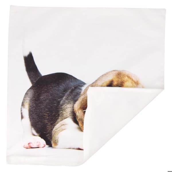 Paket med 2 Kuddöverdrag 40x40 cm Mönster Beagle Hund Vit