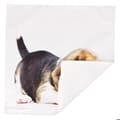 Miniatyrbild 4 av 4: Paket med 2 Kuddöverdrag 40x40 cm Mönster Beagle Hund Vit