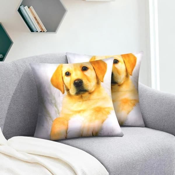 Paket med 2 Kuddöverdrag 40x40 cm Mönster Hund Päls