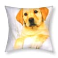 Miniatyrbild 1 av 4: Paket med 2 Kuddöverdrag 40x40 cm Mönster Hund Päls