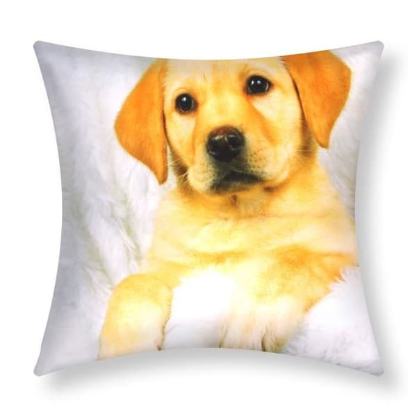 Paket med 2 Kuddöverdrag 40x40 cm Mönster Hund Päls