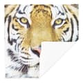 Miniatyrbild 4 av 4: Set med 2 Kuddöverdrag 40x40 cm Tiger Mönster