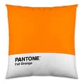 Miniatyrbild 1 av 2: Kuddfodral - Pantone - Vändbar - 50 x 50 cm - Enfärgad - Modern design