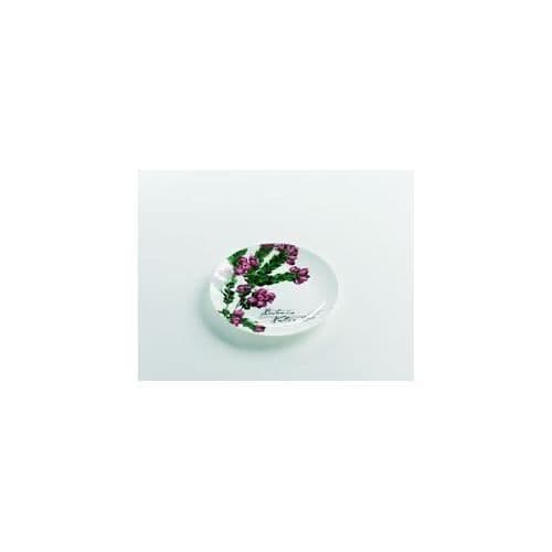 maxwell och williams Maxwell - Williams Botanic Floral Rose 15 cm plaketter i presentförpackning - S692142