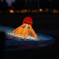 Miniatyrbillede 4 af 6: Speedminton sjovt sæt