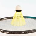 Miniatyrbillede 6 af 7: Badmintonsæt Aktive