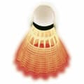 Miniatyrbilde 5 av 6: Badminton Racket Schildkröt