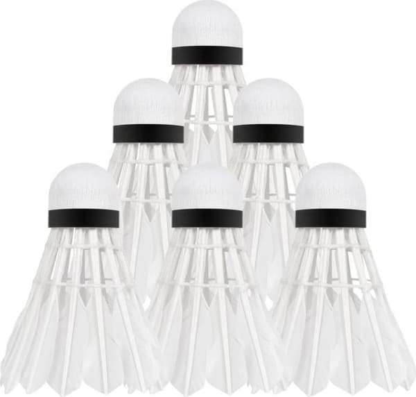 Badmintonfjädrar Rebel - RBA-4103 - Badmintonfjädrar i gåsfjädrar, rör 6 st, AKTIV