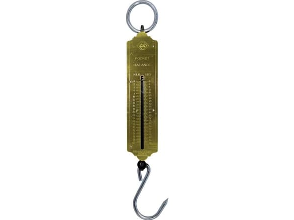 C.K T6202 088 Fjedervægt Vejeområde 40 kg