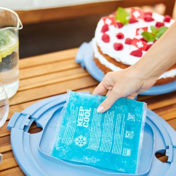 Rotho Fresh Cake Box Cool & Horizon Blue