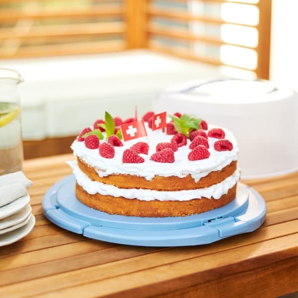 Rotho Fresh Cake Box Cool & Horizon Blue