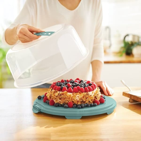 Rotho Fresh Cake Box Hög Mistel Grön