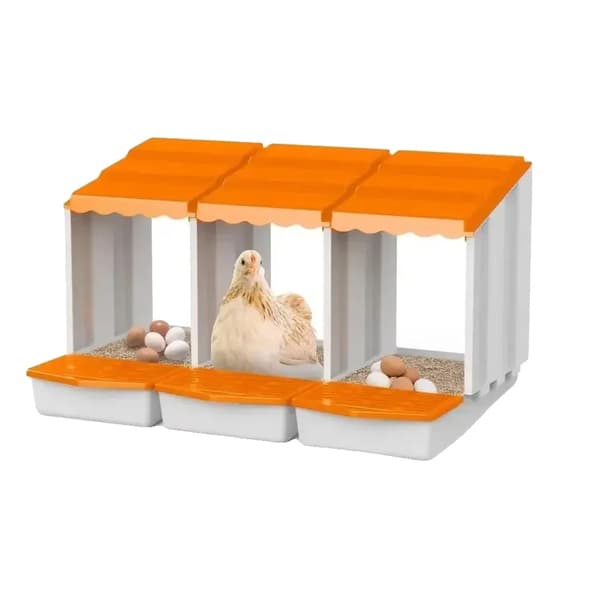 Kananpesälaatikko, turvallinen munien suoja, tilava muotoilu,oranssi 1BOX